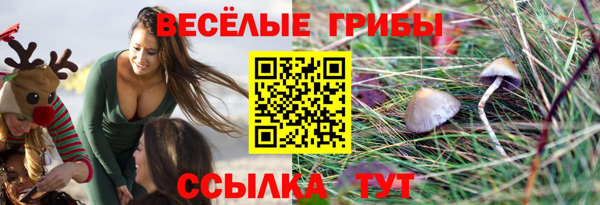 Галлюциногенные грибы мухоморы  Вход с VPN  закладка  Новочеркасск 